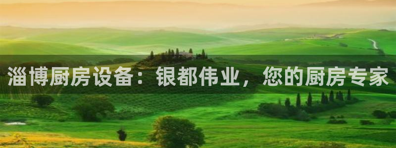 尊龙凯时官方网页：淄博厨房设备：银都伟业，您的厨房专家