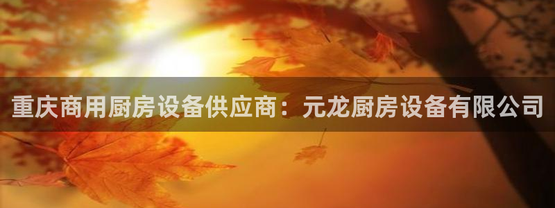 尊龙登录会员登录：重庆商用厨房设备供应商：元龙厨房设备有限公