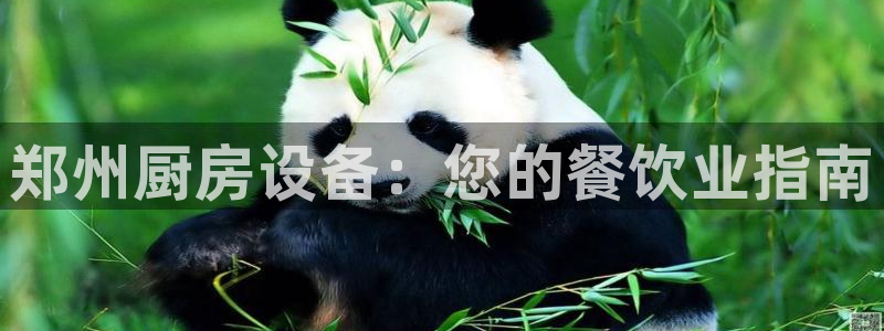 凯时ag旗舰厅网址是什么：郑州厨房设备：您的餐饮业指南