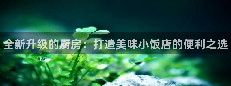 尊龙凯时百家乐手机下载