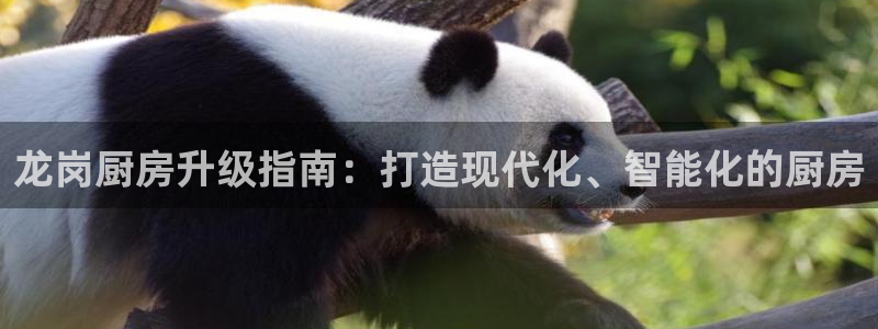 尊龙凯时d5138