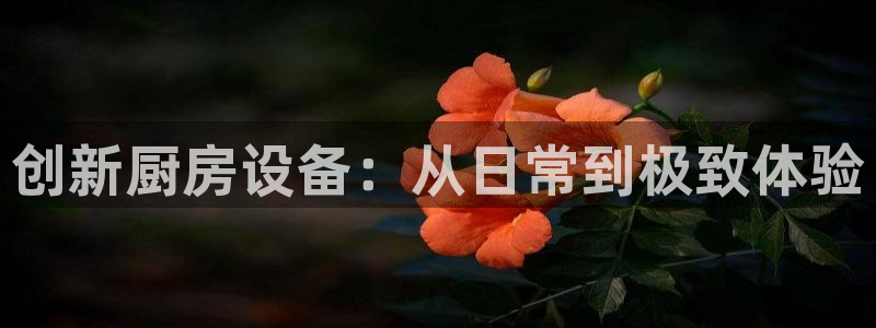 尊龙z6.con