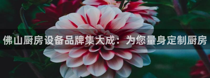 z6尊龙z6