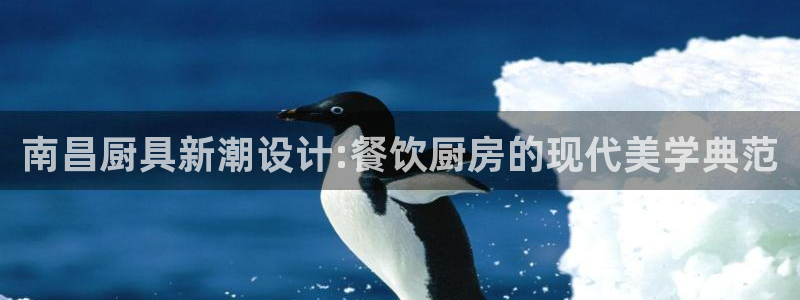 尊龙官方身高