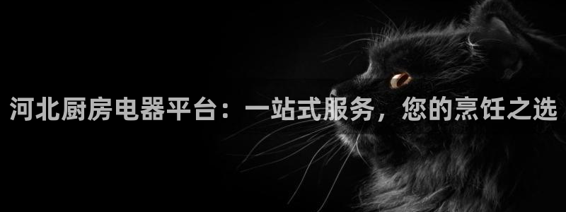 K66凯时国际平台官网