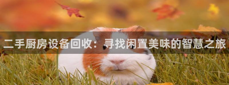 尊龙目前照片
