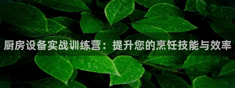 凯时是AG优质运营商