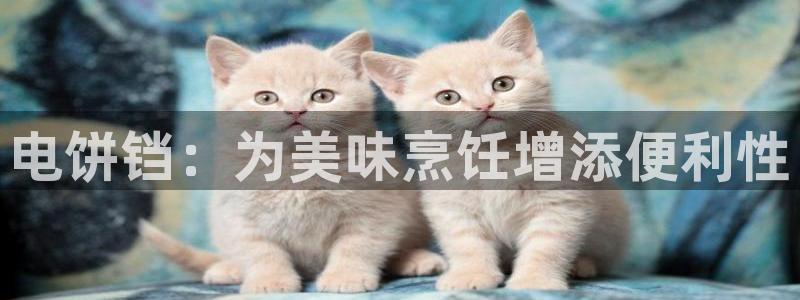 首页尊龙d88国际：电饼