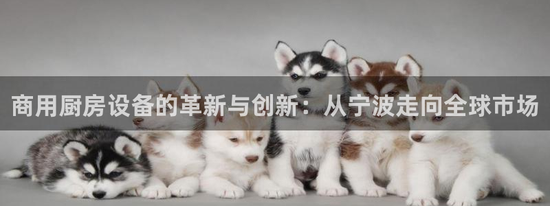 尊龙凯时始人生就是博
